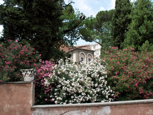 Foto a cidade de roma