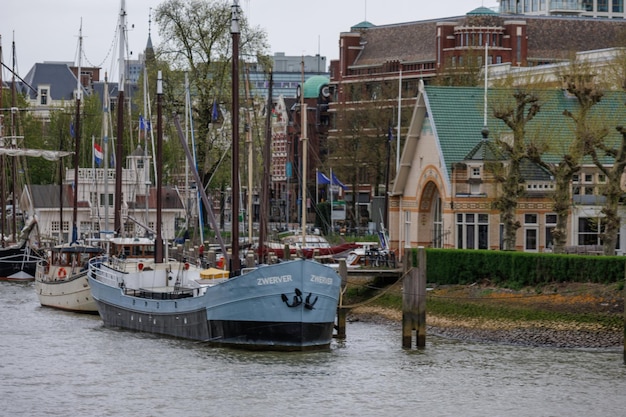 Foto a cidade de roterdã, na holanda