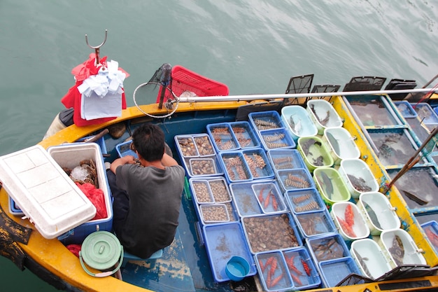 A cidade de Sai Kung era uma pequena vila de pescadores subdesenvolvida até que a indústria pesqueira declinou na década de 1970 e muitos pescadores se mudaram para outros negócios, como restaurantes de ecoturismo de piscicultura