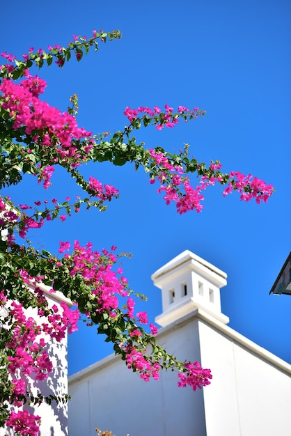 A cidade velha de Bodrum Turquia Fotos da cidade velha de Bodrum Turquia