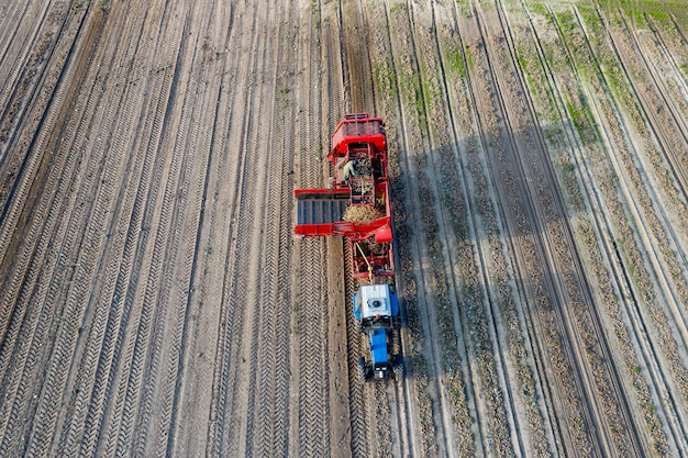 A colheitadeira de batatas atravessa o campo fotografia aérea de um drone