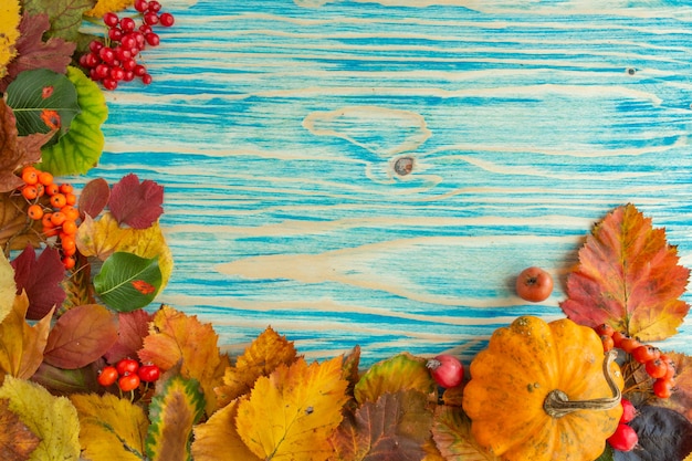 A composição do outono deixa as bagas com abóbora no pano de fundo azul.