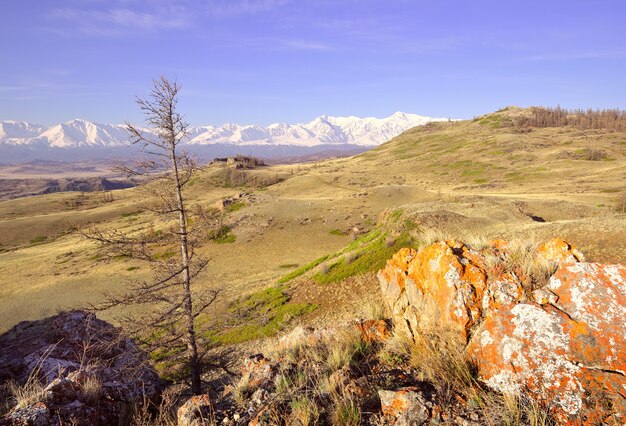 a cordilheira de Northchui nas montanhas altai, rochas e grama seca na encosta da montanha