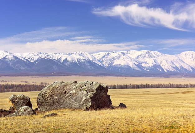 a cordilheira Northchui nas montanhas altai, rochas e grama seca na estepe na primavera