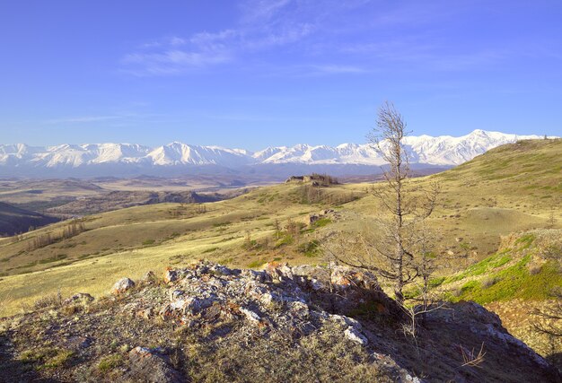 A cordilheira NorthChui nas montanhas Altai Uma encosta rochosa na estepe Kurai coberta de neve