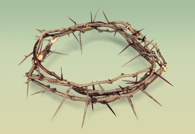A coroa de espinhos no fundo representa a crucificação de Jesus na Cruz,