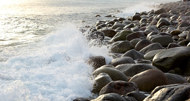 A costa, com rochedos de pedra. mar de barents, rússia