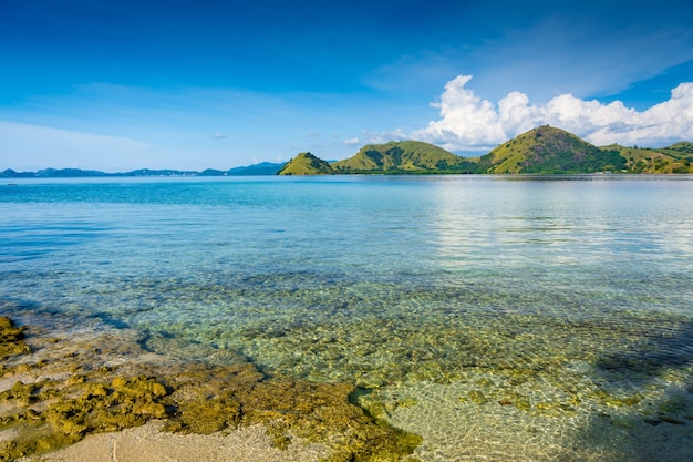 A costa da ilha de kelor