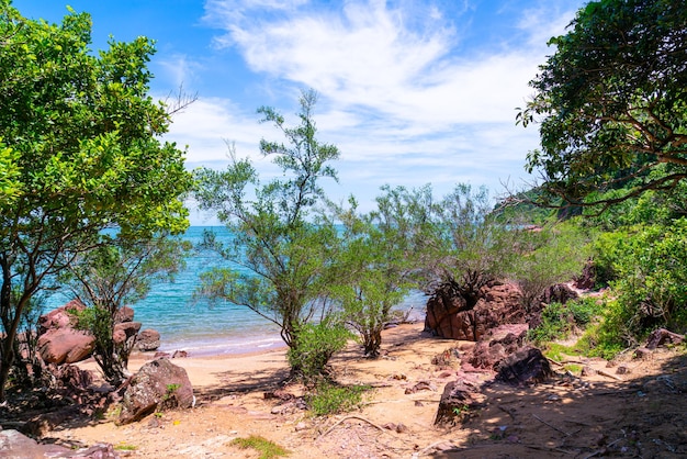 A costa rosa ou lan him chomphu em chanthaburi na tailândia