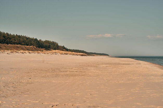 A costa vazia da manhã, a praia de areia do Mar Báltico, o conceito de férias.