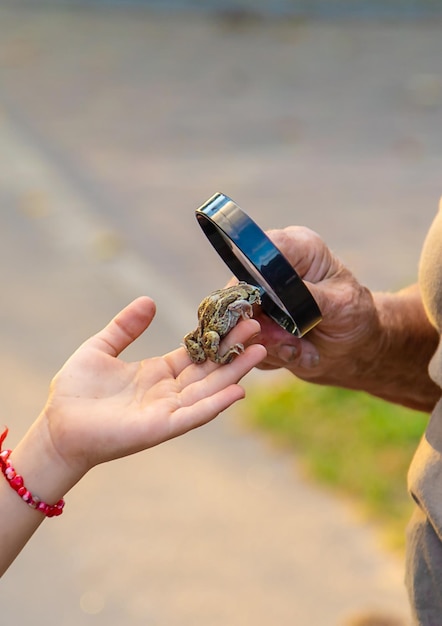 A criança está brincando com o sapo foco seletivo