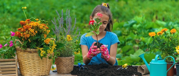 A criança está plantando flores no jardim Foco seletivo