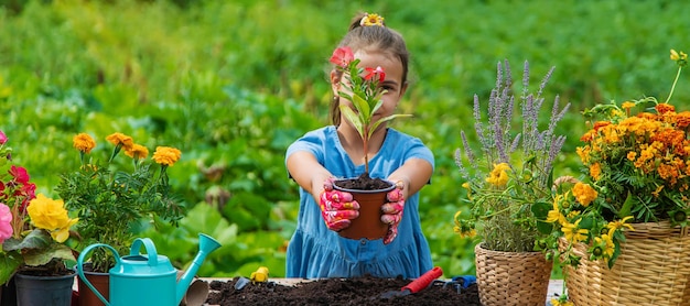 A criança está plantando flores no jardim Foco seletivo