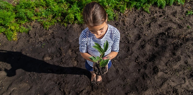 A criança está plantando uma planta no jardim foco seletivo