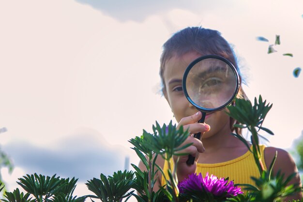 A criança examina as plantas com uma lupa. Foco seletivo.