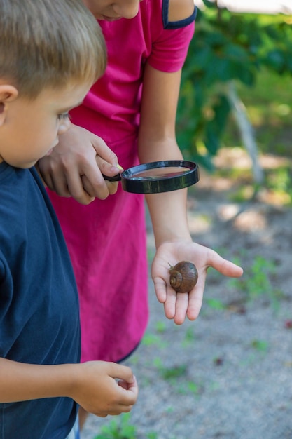 A criança olha para a natureza do caracol Foco seletivo