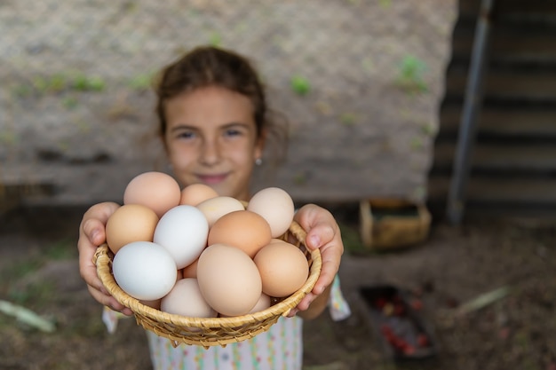 Foto a criança pega os ovos no galinheiro. foco seletivo. criança.