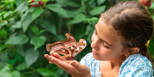 A criança segura uma borboleta na mão Coscinocera hercules Foco seletivo