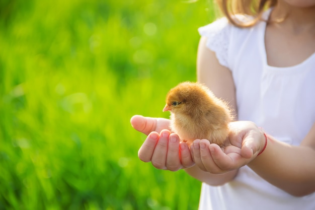 A criança tem um frango nas mãos. Foco seletivo.