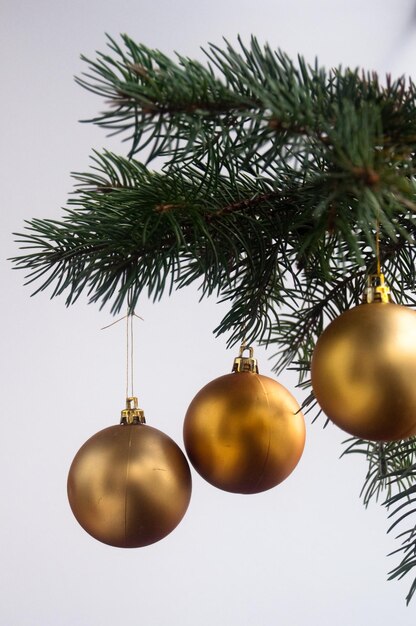 A decoração das árvores de Natal