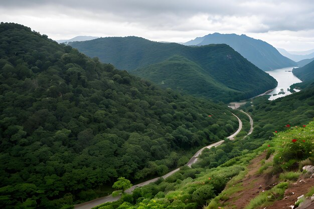 A Diversidade da Natureza