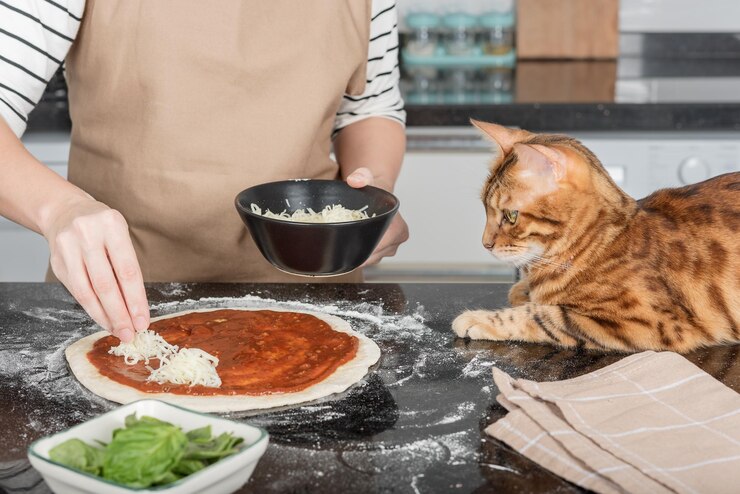 Foto a dona e seu gato colocam as coberturas de pizza na pessoa da massa