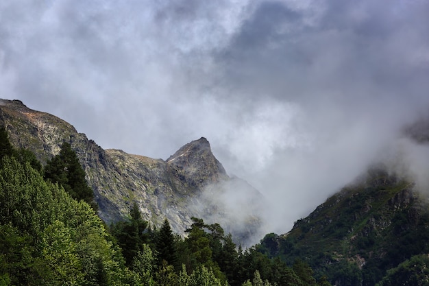 A encosta de uma montanha com vegetação está escondida por uma nuvem