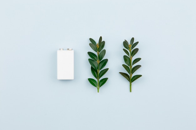 A energia de Eco ou a ilustração das energias verdes com uma bateria e os ramos brancos saem em um fundo claro com o espaço da cópia para o texto.