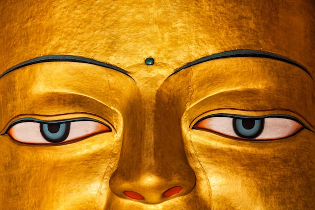 A estátua do Buda Sakyamuni se aproxima no mosteiro budista tibetano Shey gompa Shey Ladakh Índia