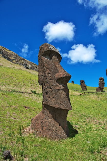 A estátua moai em rano raraku na ilha de páscoa, chile