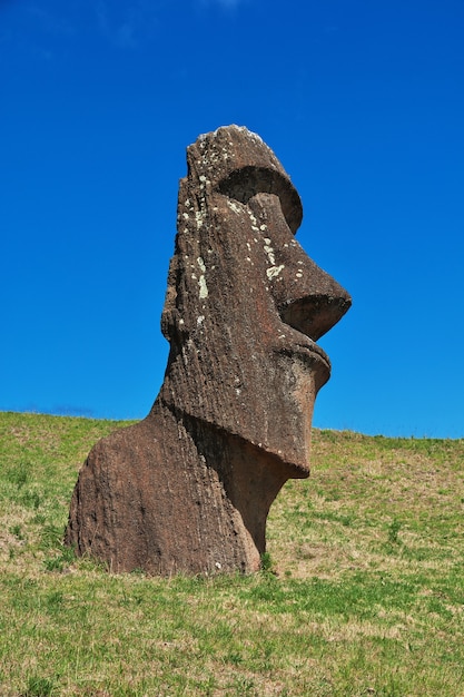 A estátua Moai em Rano Raraku na Ilha de Páscoa de Rapa Nui no Chile