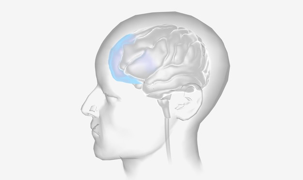 Foto a estimulação cerebral do córtex pré-frontal