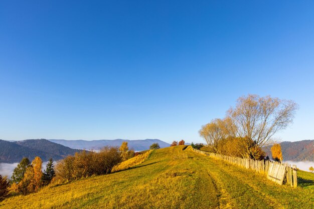 A estrada à terra corre ao longo da cerca de madeira perto das árvores amareladas