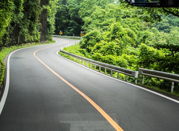 Foto a estrada através da árvore na floresta