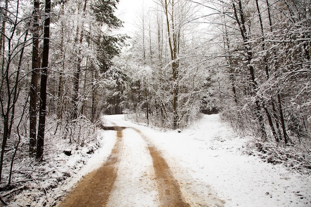 A estrada coberta de neve no inverno