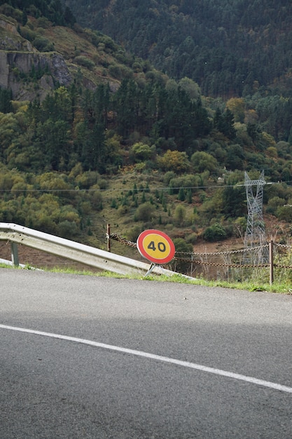 Foto a estrada com árvores