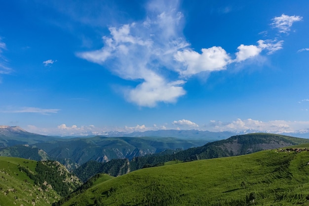 A estrada de alta montanha para o trato de JilySu Caucasus KabardinoBalkaria Rússia