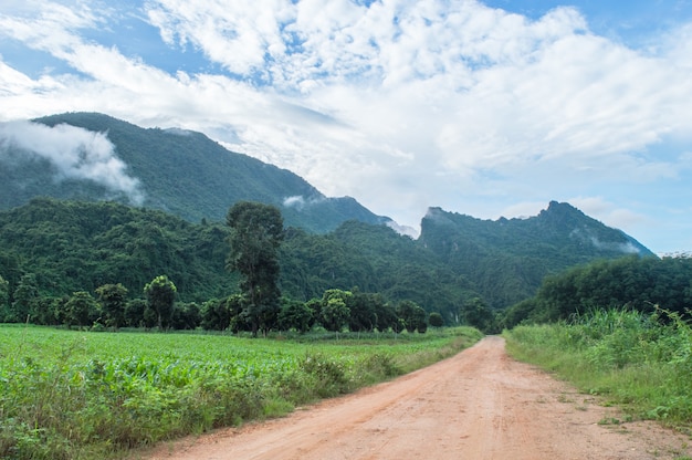 A estrada é um longo caminho para as montanhas. Bela paisagem natural