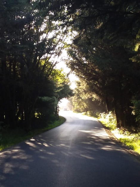 a estrada menos percorrida