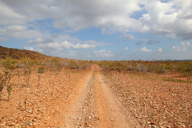 Foto a estrada na ilha de socotra, oceano índico, iêmen