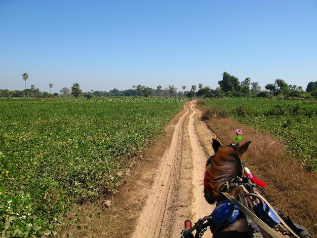 A estrada na pequena aldeia Myanmar