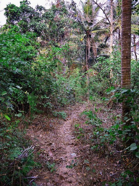 A estrada na pequena aldeia no Laos