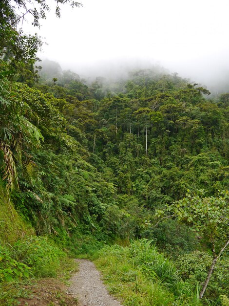 A estrada nas montanhas em Banaue