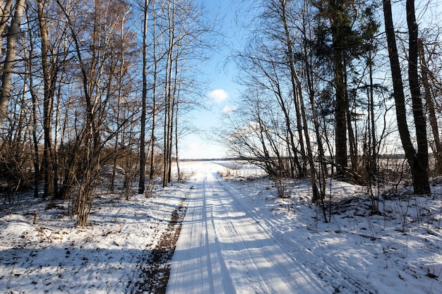 A estrada no inverno coberta de neve.