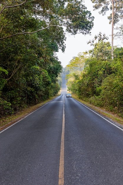 A estrada no Parque Nacional Khoa Yai, Tailândia