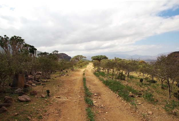 A estrada no planalto de homhil, ilha de socotra, oceano índico, iêmen