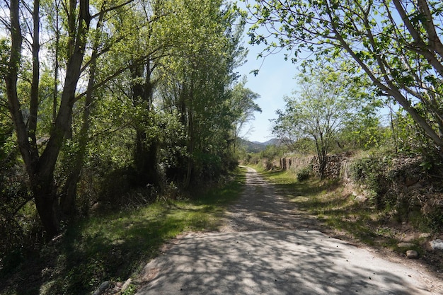 A estrada para a aldeia de agia pelagia