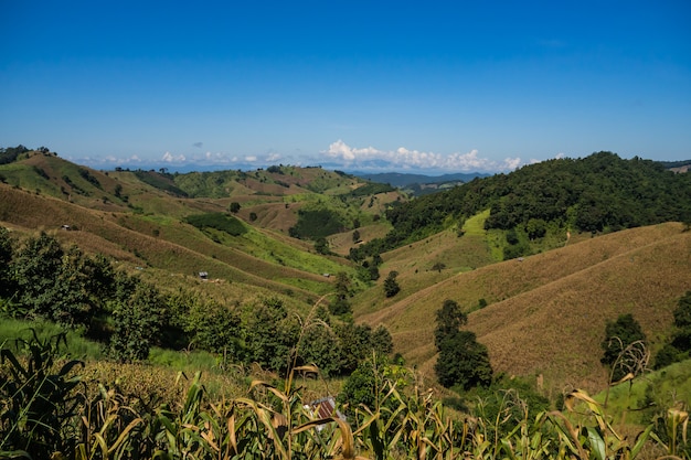 A estrada para a montanha