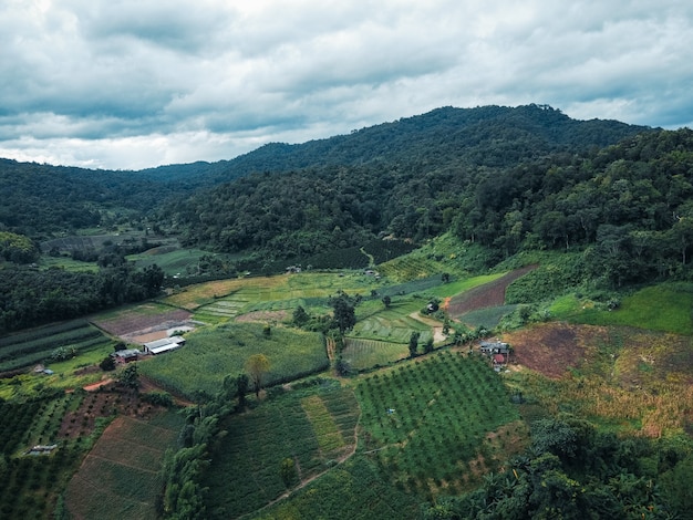 A estrada para as fazendas e campos na floresta verde.