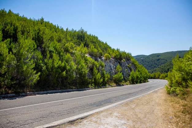 A estrada para as montanhas é pavimentada com árvores e arbustos.